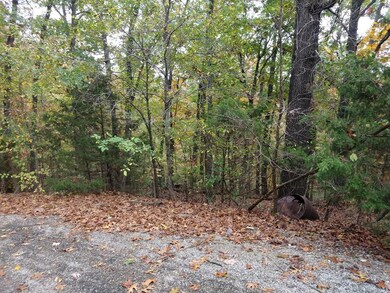 000 Fox Fire Knoll Dr, Kimberling City, MO 65686 - photo 4