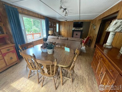 664 Riverside Dr, Lyons, CO 80540 - photo 6