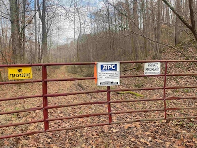 TBD Sand Fork Rd, Walkersville, WV 26447 - photo 7