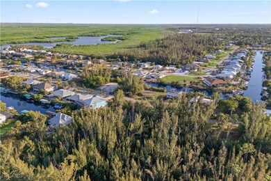 5464 Ann Arbor Dr, Pine Island Center, FL 33922 - photo 6