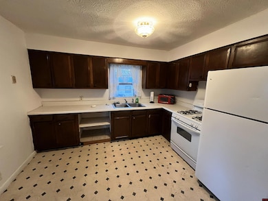 317 W 5th St, Yellville, AR 72687 - photo 4