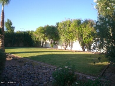 BACK YARD