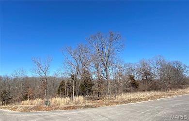 View of asphalt road featuring a forest view