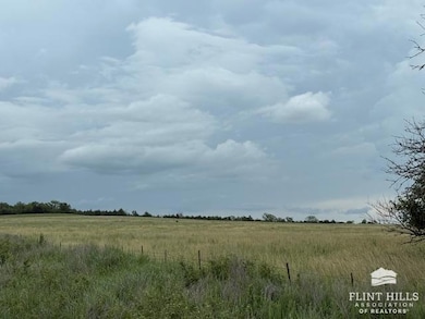 25299 Windy Hill Rd, Maple Hill, KS 66507 - photo 5