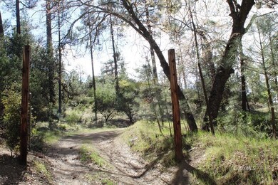 PANORAMIC PRIVACY