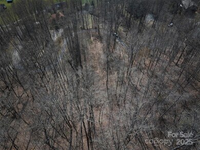 0 Treyburn Oaks Dr, Bryson City, NC 28713 - photo 6