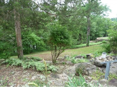 5 Bridgeview Dr, Kimberling City, MO 65686 - photo 5