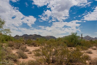 Lot View 3