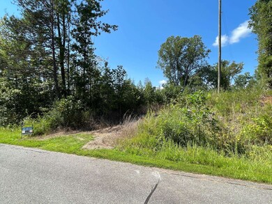 350 Alston Horton Service Rd, Pittsboro, NC 27312 - photo 2