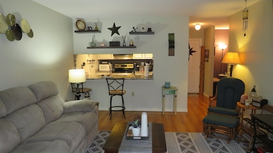 5 Washington St unit 9, Goffstown, NH 03045 - photo 2