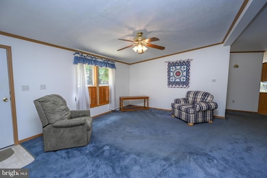 332 High Point Dr, Swanton, MD 21561 - photo 6