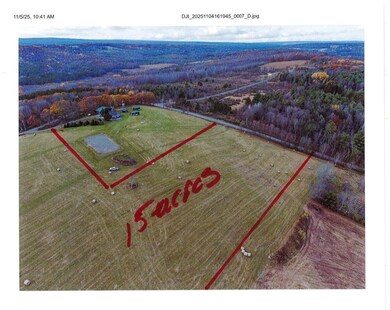 212-A Hill Rd, Danby, NY 14001 - photo 4