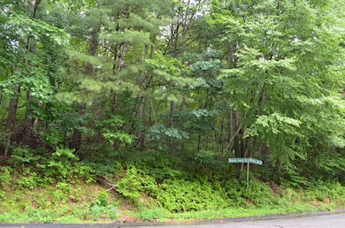 Lot 4 Babcock Tavern Rd, Hardwick, MA 01082 - photo 2