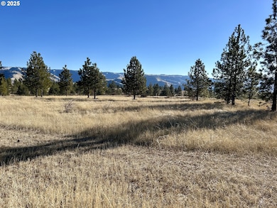 unlisted-address, Weston, OR 97886 - photo 5