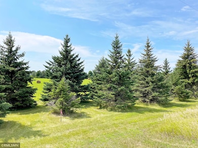 15XX3 60th St SW, Cokato, MN 55321 - photo 4