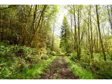 0 Slide Creek Rd unit 20124249, Longview, WA 98632 - photo 3