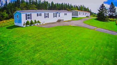 the drone shot