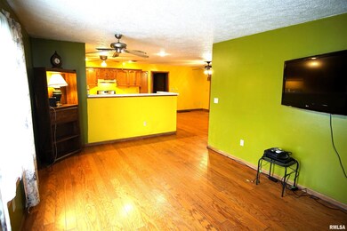 610 Home Ave, Lincoln, IL 62656 - photo 6