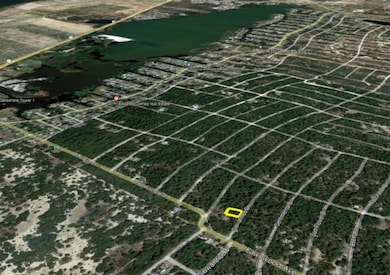 206 Suwannee Dr, Lake Placid, FL 33852 - photo 4