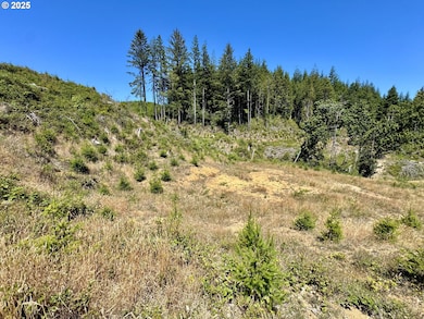 00000 Trail Ln unit 1406, Coosbay, OR 97420 - photo 5