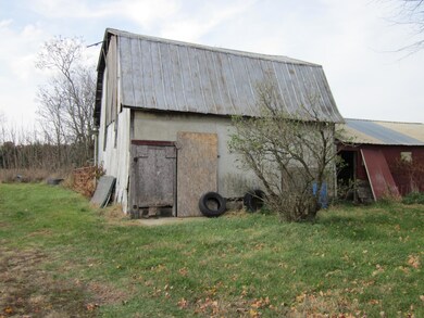 IMG_0383 - Copy