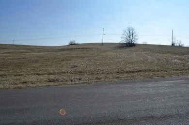 100 Palm Dr, Harrodsburg, KY 40330 - photo 5