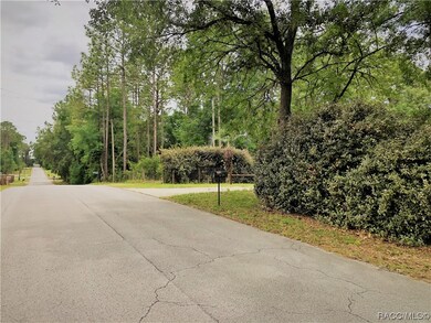 00 SW 189th Ave, Dunnellon, FL 34432 - photo 7