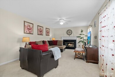 2423 Warm Springs Ln unit 2, Naperville, IL 60564 - photo 7