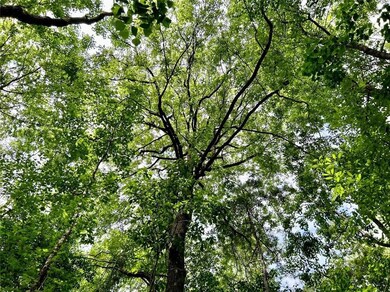 0 State Highway 59 unit 7437053, Stockton, AL 36579 - photo 7