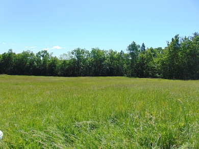 0 Crane St unit 202020020, Charlton, NY 12302 - photo 2