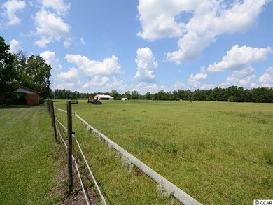3655 Highway 19, Conway, SC 29526 - photo 7