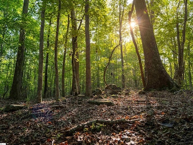 00 Goldmine Rd, Pacolet, SC 29372 - photo 2