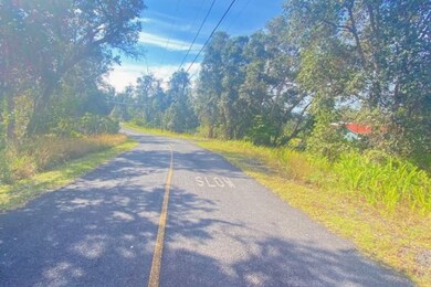 Street view facing bend of Leilani Circle; lot on the right