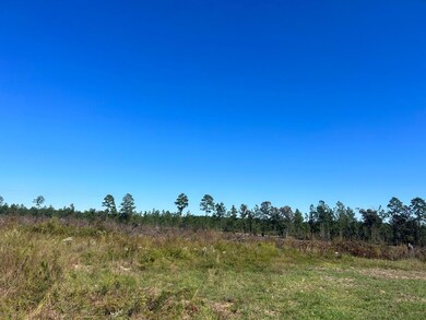 2762 Bullard Ford Rd, Hartsville, SC 29550 - photo 7