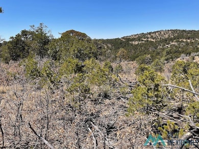 239 Anders Rd, Timberon, NM 88350 - photo 2