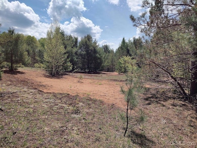 TBD Dunham Rd, Marenisco, MI 49947 - photo 7