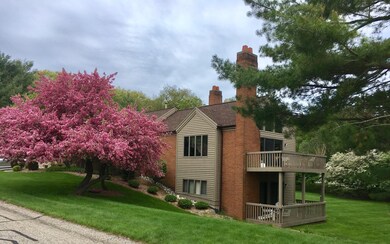 Blossoms