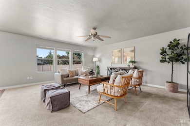 Living area featuring a ceiling fan, carpet, and a textured ceiling