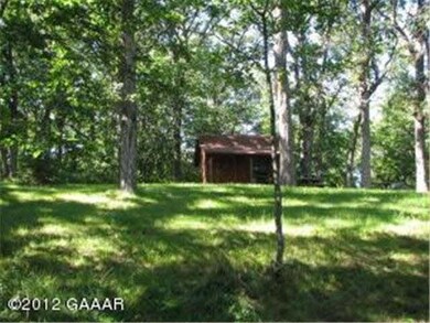 2825 Doe Run Ln SW, Farwell, MN 56327 - photo 6