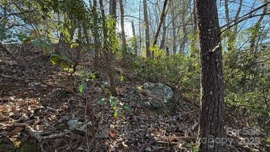 0 Bird Dog Blvd unit CAR4211590, Lake Lure, NC 28746 - photo 7