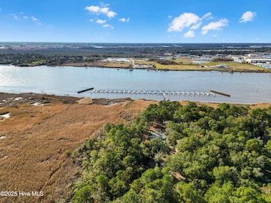 344 Preservation Point, Wilmington, NC 28401 - photo 6
