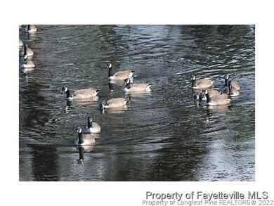 1728 Fordham Dr, Fayetteville, NC 28304 - photo 5