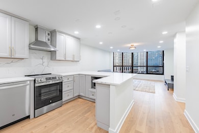 405 N Wabash Ave unit 207, Chicago, IL 60611 - photo 7