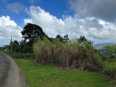 Bo Beatriz Fincas Mi Recreo 3 Carr 1, Caguas, PR 00725 - photo 3