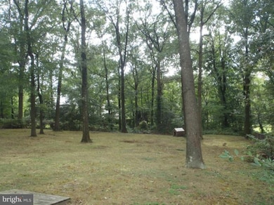 8510 Laverne Dr, Adelphi, MD 20783 - photo 4