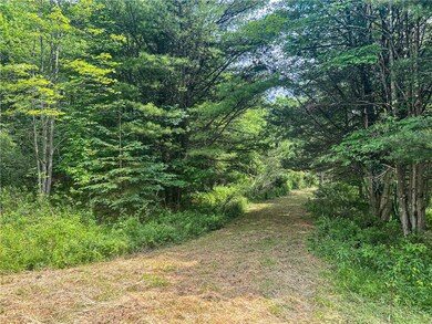 Gravel Driveway