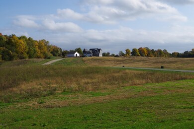 field