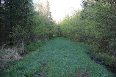 N2060 Meridian Rd, Prentice, WI 54556 - photo 5