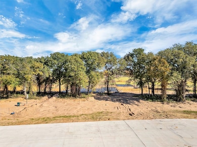 2207 Rattler Way, Tolar, TX 76476 - photo 7