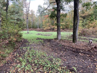 1815 12 Mile Rd, Bitely, MI 49309 - photo 7